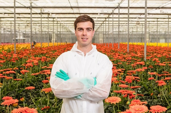 Dirk Timmers Product Specialist Crop Protection in greenhouse 